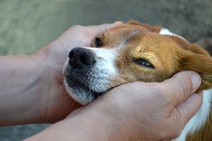 A-man-cuddling-his-dog