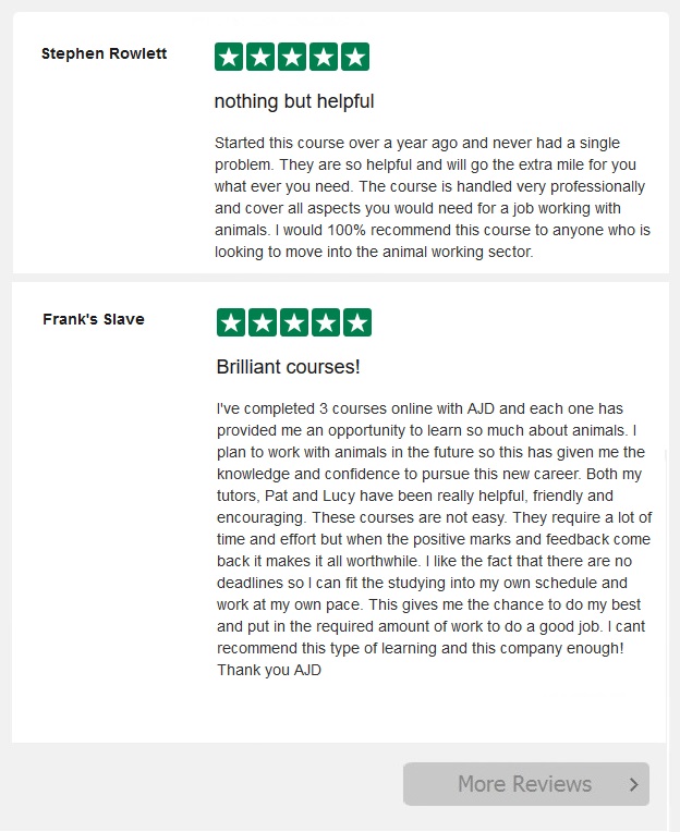 Animal-Hoarding-Course-reviews