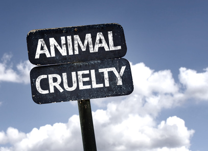 Animal-charity-coursejpg