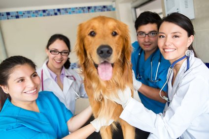 Charity-team-with-dog