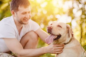 Dog-Handler-Course