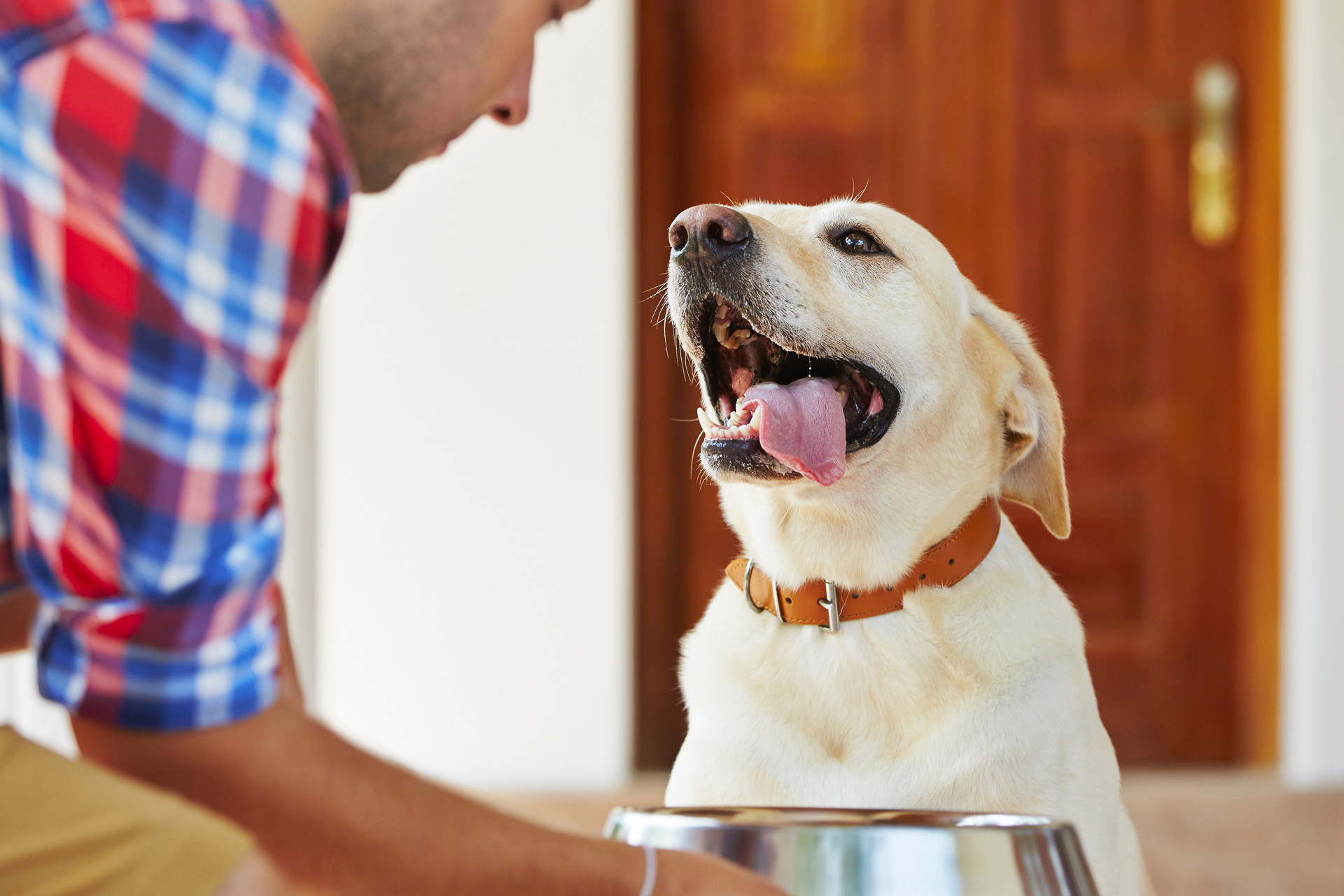 man give food our dog