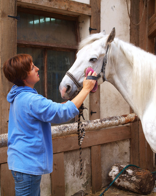 Equine-Ethics-and-Care