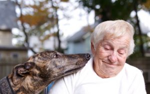 Lady-Wheelchair-with-Dog