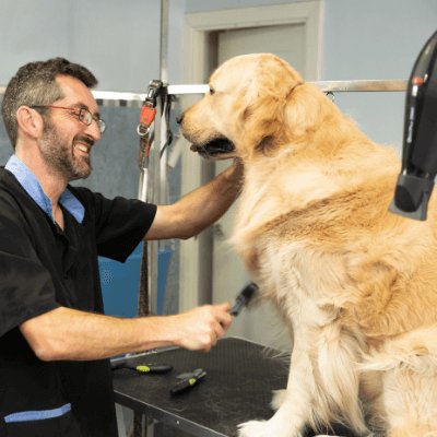 Pet-Care-course