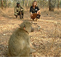 Practical-Animal-Courses