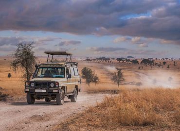 African Wildlife Ecology