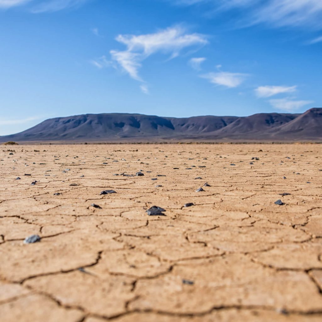 african-ecology-course