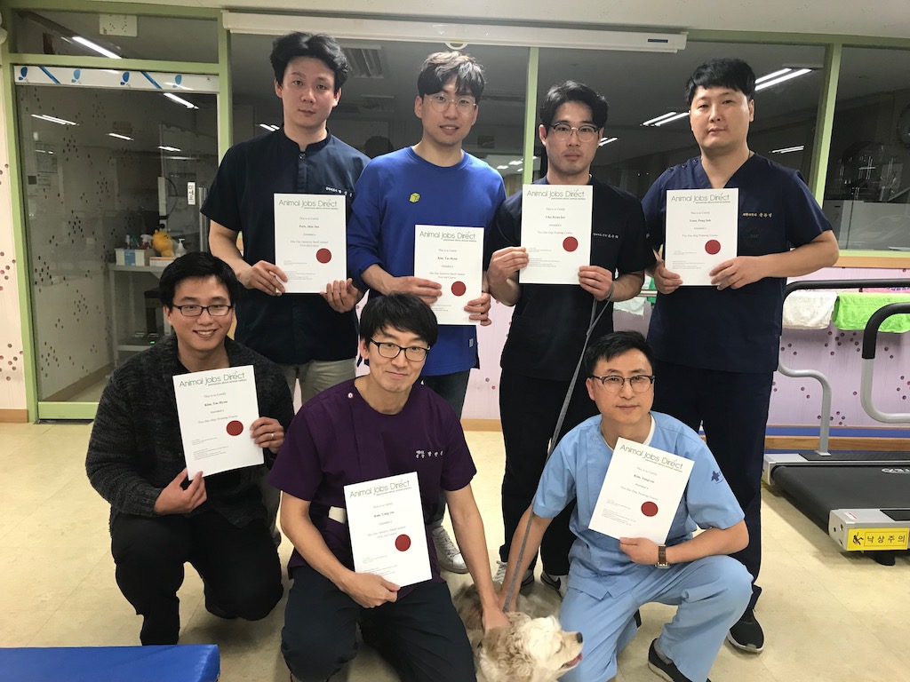 animal team team certificate
