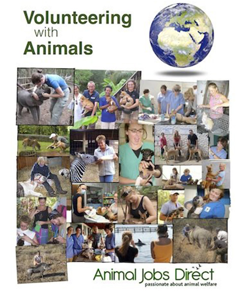banner book