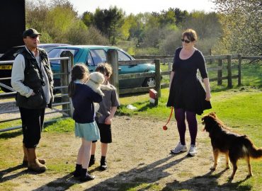 family love dogs