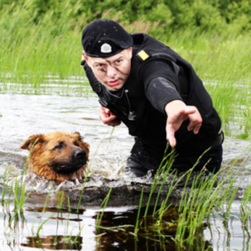 man-train-our-dog-canine-course
