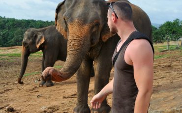 man with elephant in suffari