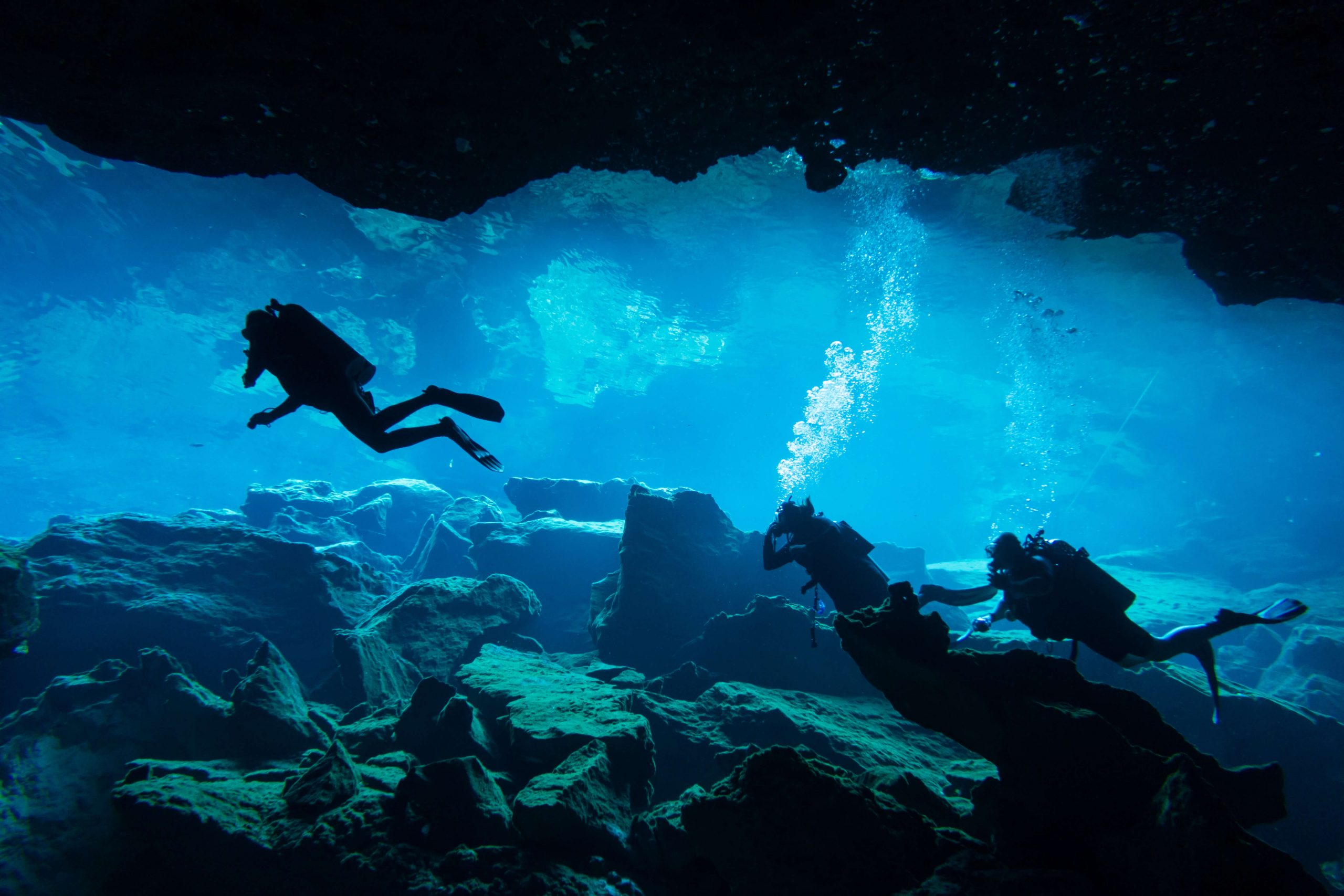 marine team in underwater