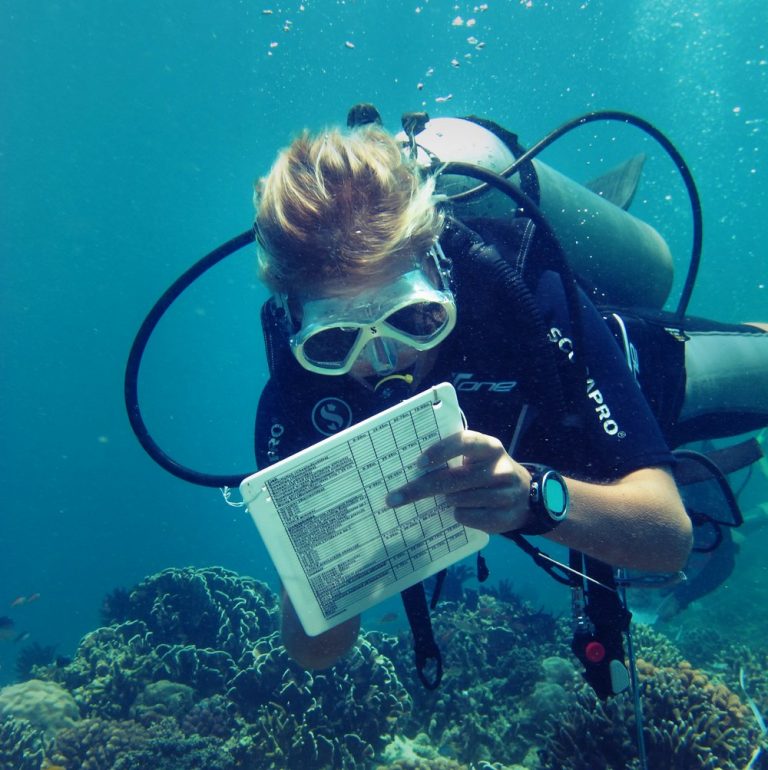 Marine Jobs | Marine Ocean Careers | Animal Careers Direct