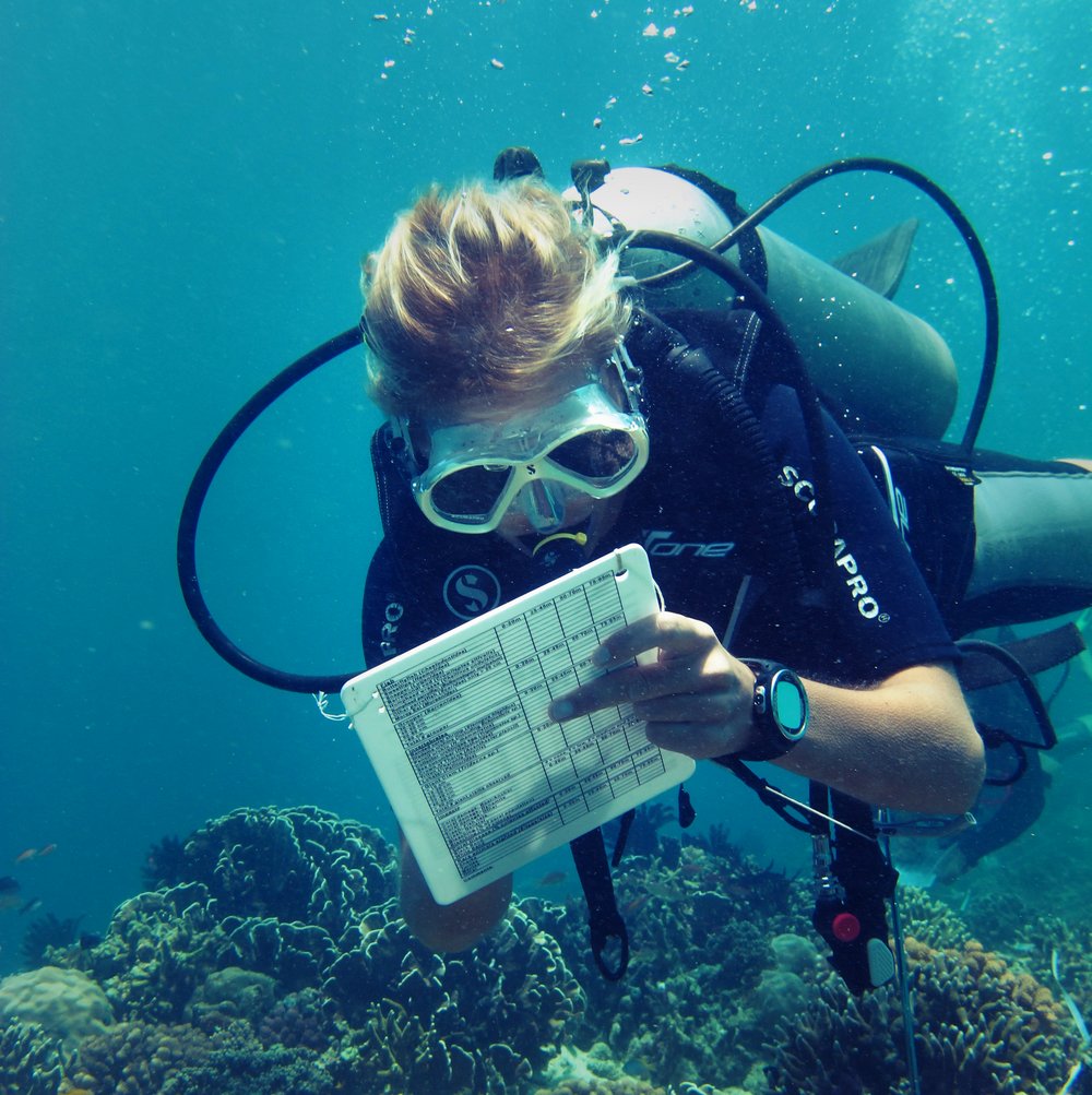 marine team women work in underwater