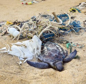 marine-plastic-pollution