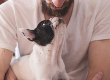 men with dogs