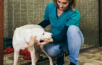 girl with dog