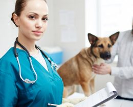 nurse treatmend with dog