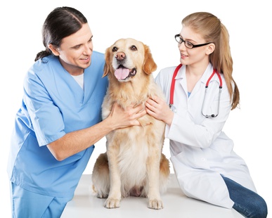 nurse-with-dog