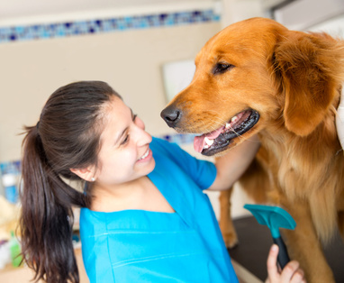 nurse-with-dog-courses
