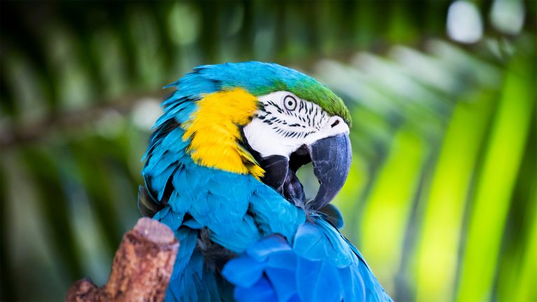 Responsible Tourism Diploma