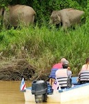 responsible-travel-course