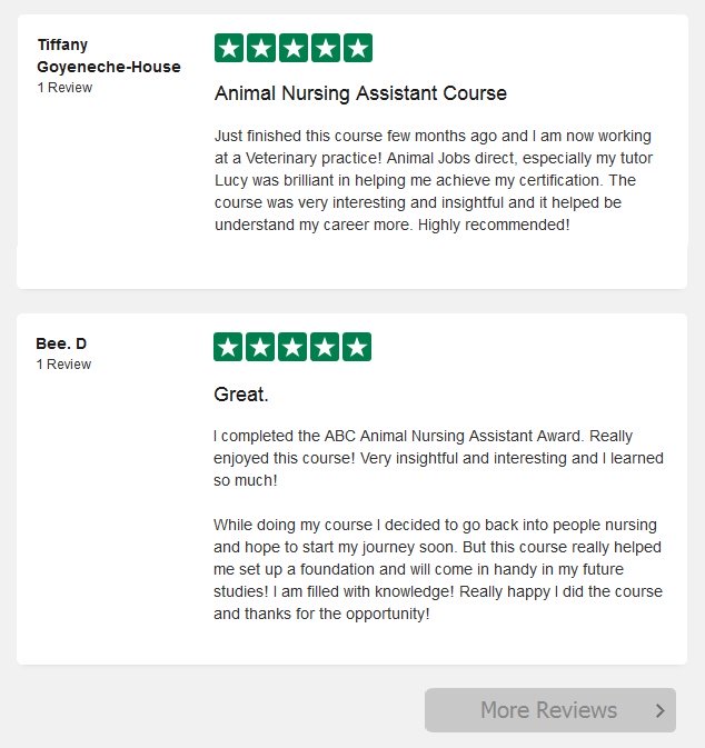 review-of-animal-charity-course-1