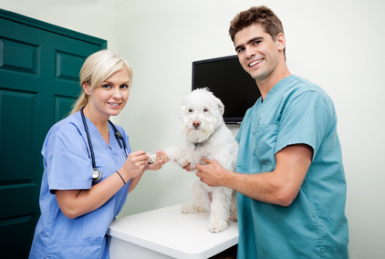 veterinary-care-assistant-course