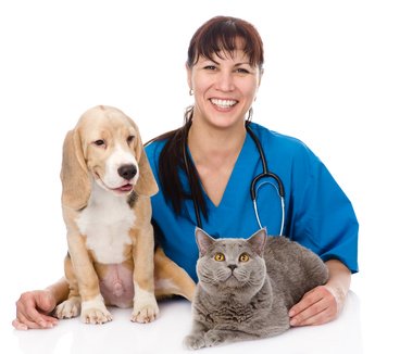 women-Animal-Care-Courses