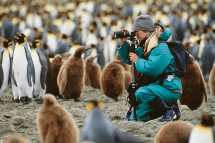 women photoshoot of Penguins