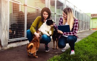 2 Women with 2 Dogs