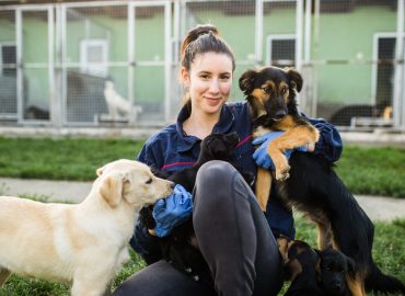 Level 3 Diploma in Kennel and Cattery Management