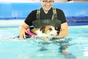 lady training with dog in water pool