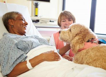 Level 3 Diploma Animal Assisted Intervention