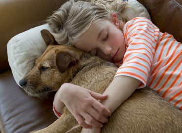 Pet Bereavement Support Certificate