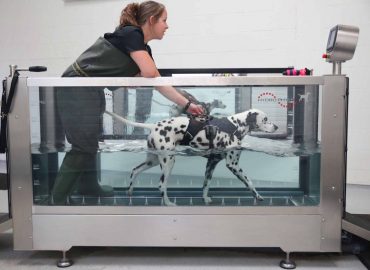 Level 3 Award in Advanced Aquatic Treadmill Therapy for Small Animals
