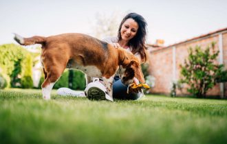 Woman Playing with Dog