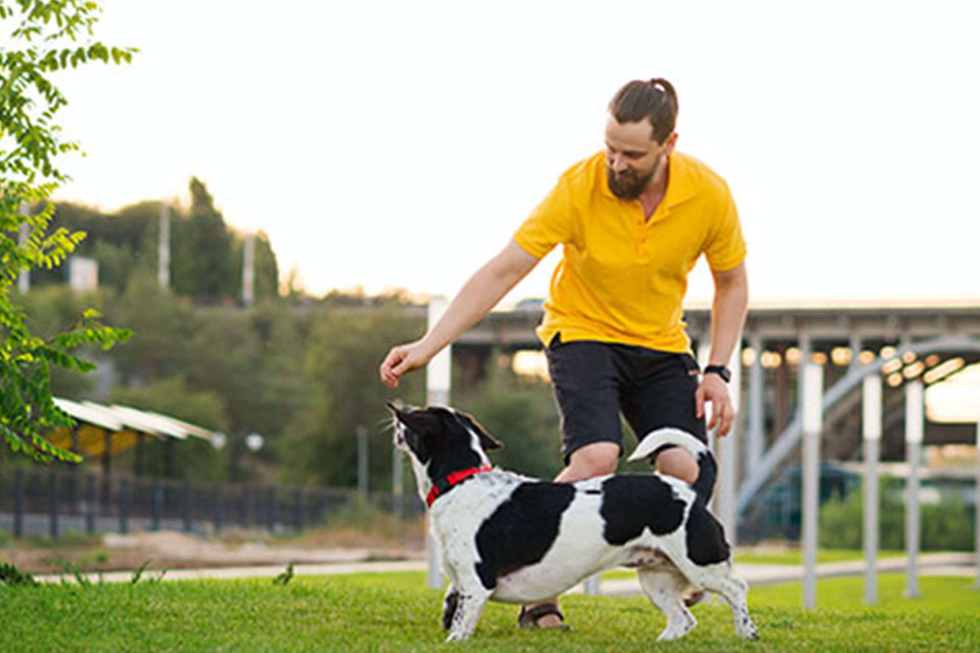 man play our dog in garden