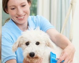 women nurse tret our dog