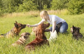 women with dogs in jungle