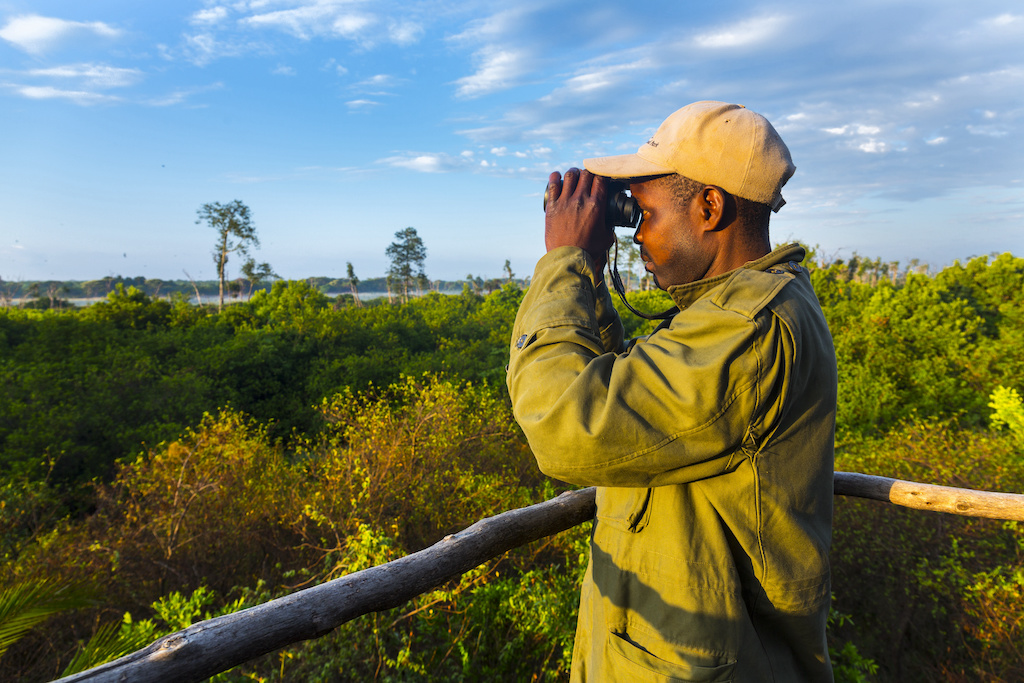 Level 3 Diploma in Sustainable Wildlife Conservation and Biodiversity